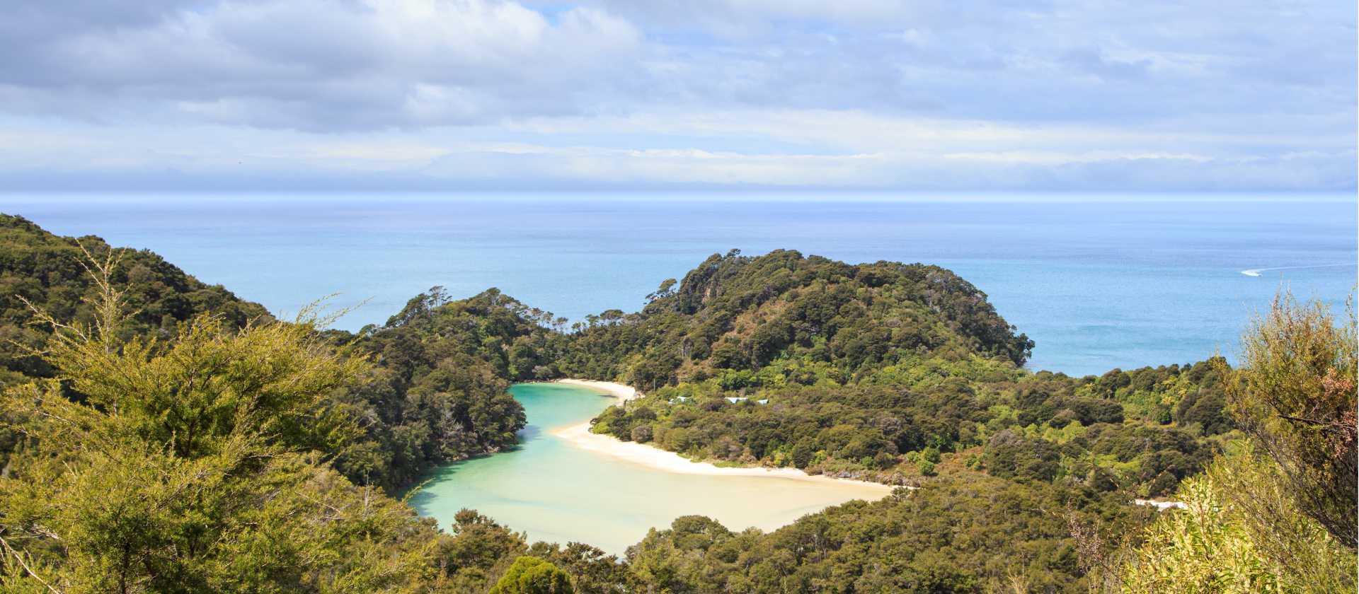 Frenchmans Bay in the Abel Tasman. | Tamzin Henderson