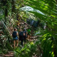 Walking with friends makes the journey a better experience | MarlboroughNZ