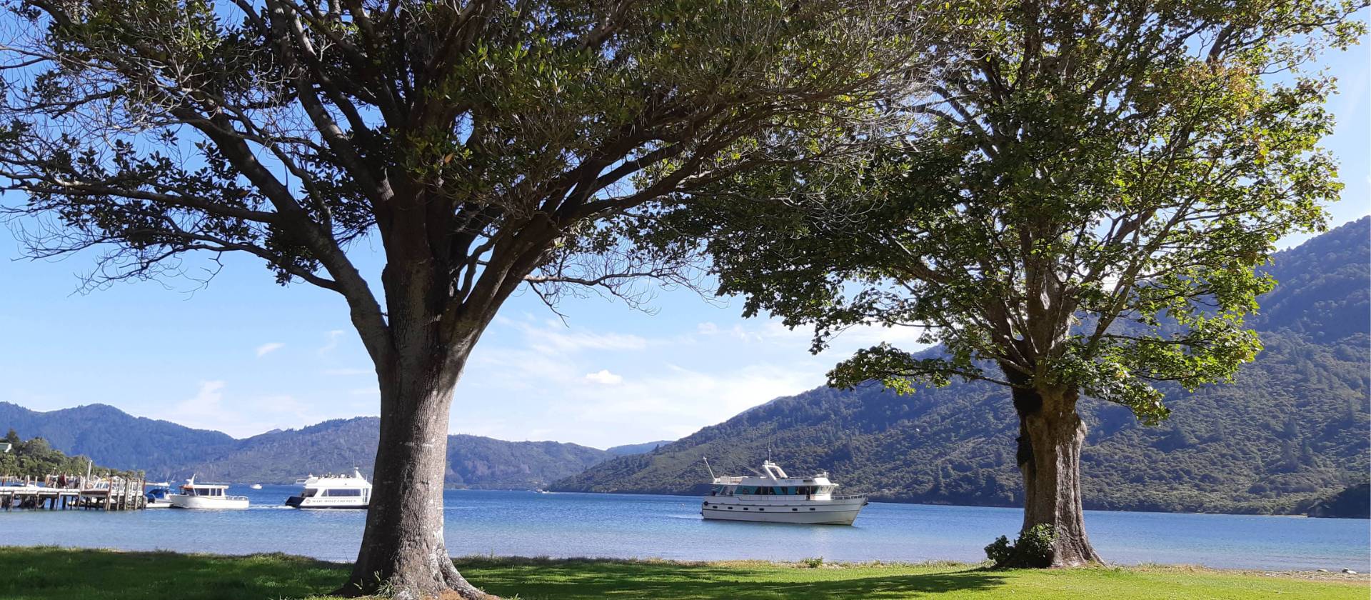 Looking out from the gardens of Furneaux Lodge to the jetty and Endeavour Inlet | Janet Oldham