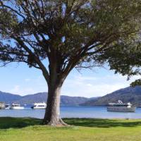 Looking out from the gardens of Furneaux Lodge to the jetty and Endeavour Inlet | Janet Oldham