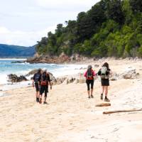 Enjoying a beach walk at Goat Bay, one of the first sections of the Abel Tasman Track | Natalie Tambolash