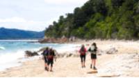 Enjoying a beach walk at Goat Bay, one of the first sections of the Abel Tasman Track |  <i>Natalie Tambolash</i>