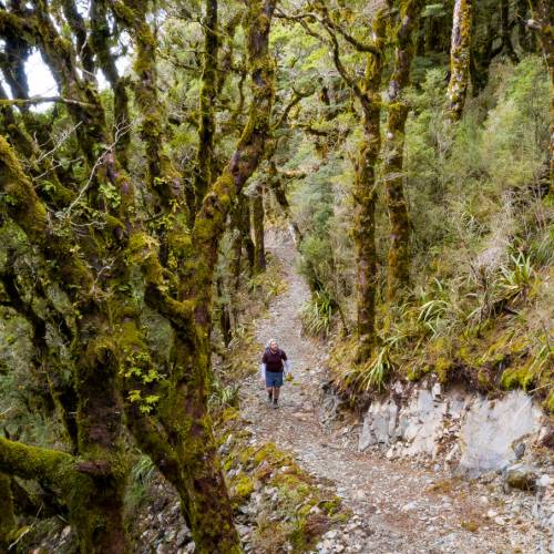 Hopefully no goblins end up jumping out of Goblin Forest