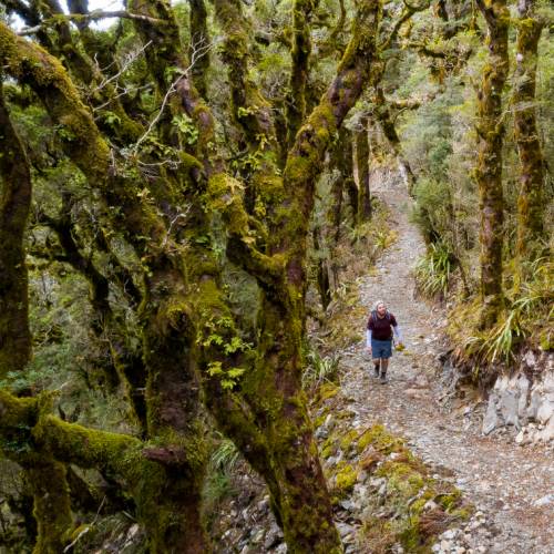 Hopefully no goblins end up jumping out of Goblin Forest