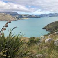 Views from Godley in the Port Hills