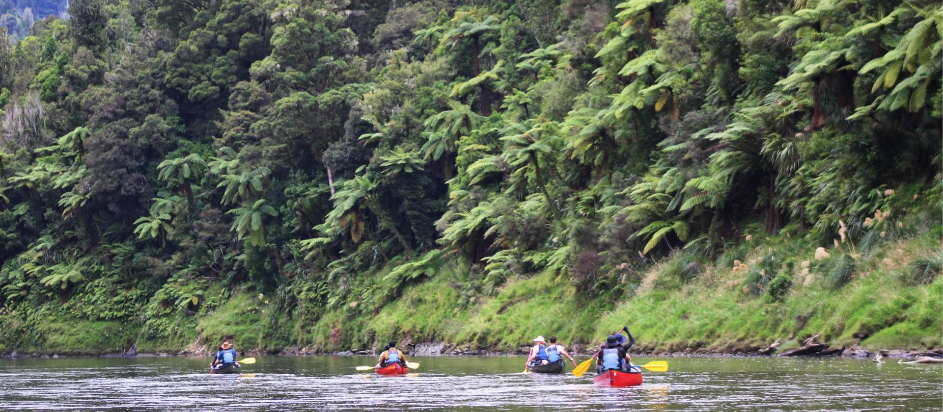 Group canoeing down the Whanganui River