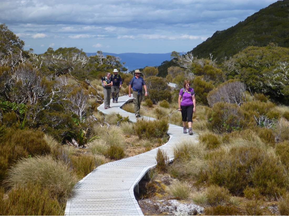 Group enjoying the well built Tuatapere Hump Ridge trails |  <i>Shane Boocock</i>