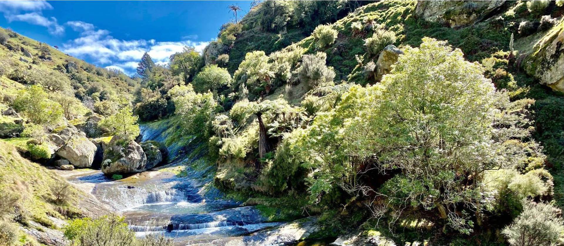 Beautiful watering holes along the Haurata trails