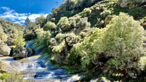 Beautiful watering holes along the Haurata trails