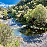 Beautiful watering holes along the Haurata trails