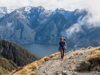 Heading towards the summit of Mt Luxmore on the Kepler Track