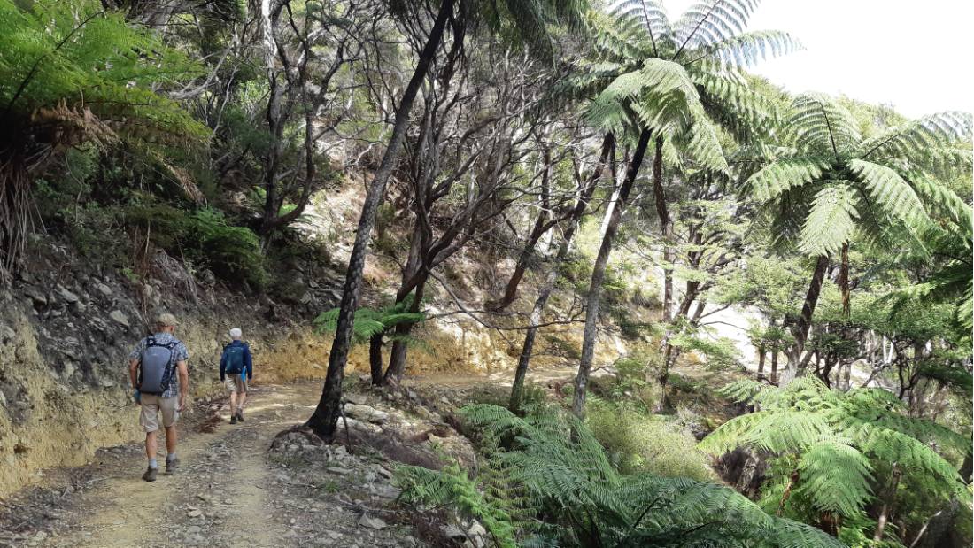 Plenty of space to walk at your pace along the Queen Charlotte track |  <i>Kaye Wilson</i>