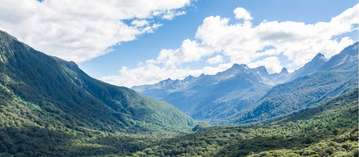 View of Hollyford Valley from Key Summit | Douglas McKay
