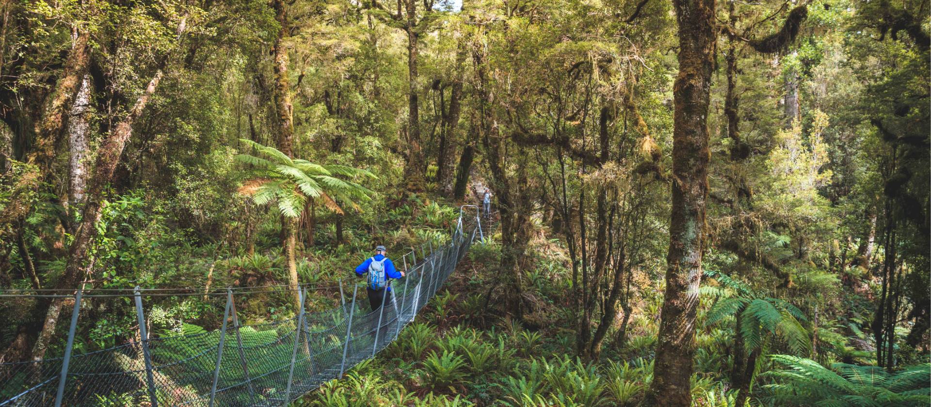 Trekking along the Hump Ridge swing bridge - Great South - credit: Liz Carlson | Liz Carlson