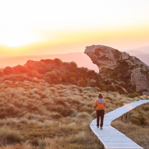 Hump Ridge - Great South