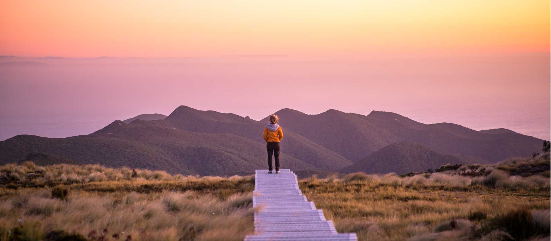 Hump Ridge - Great South | Liz Carlson