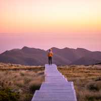 Hump Ridge - Great South | Liz Carlson