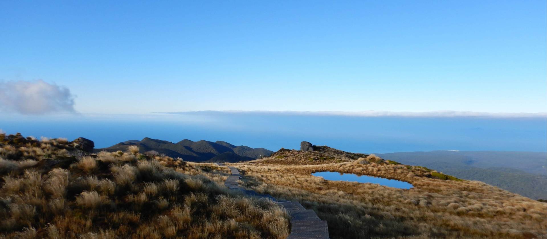 Leaving Okaka Lodge the boardwalk heads south down the Hump Ridge | Sandra Appleby