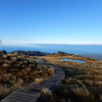 Leaving Okaka Lodge the boardwalk heads south down the Hump Ridge | Sandra Appleby