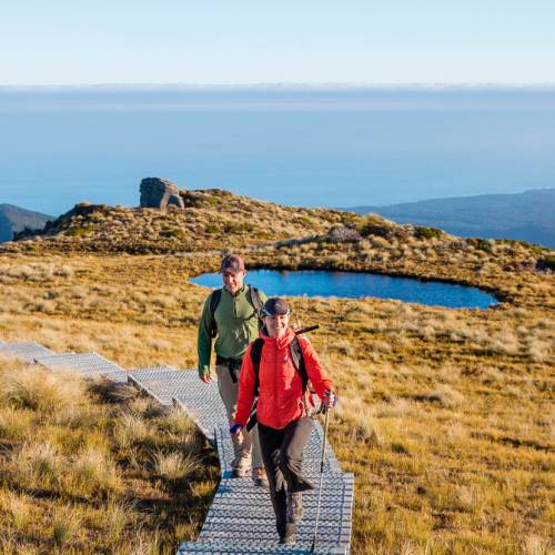 Walkers enjoy the remoteness of the Hump Ridge Track
