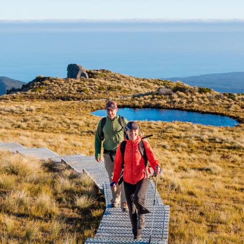 Walkers enjoy the remoteness of the Hump Ridge Track