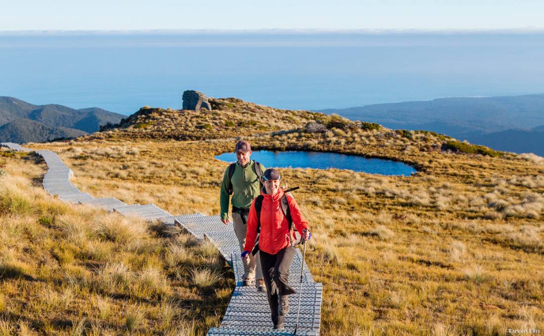 Walkers enjoy the remoteness of the Hump Ridge Track |  <i>Tareen Ellis</i>