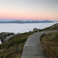 Catch a sunrise from the loop track above Okaka Lodge, Hump Ridge Track | Janet Oldham