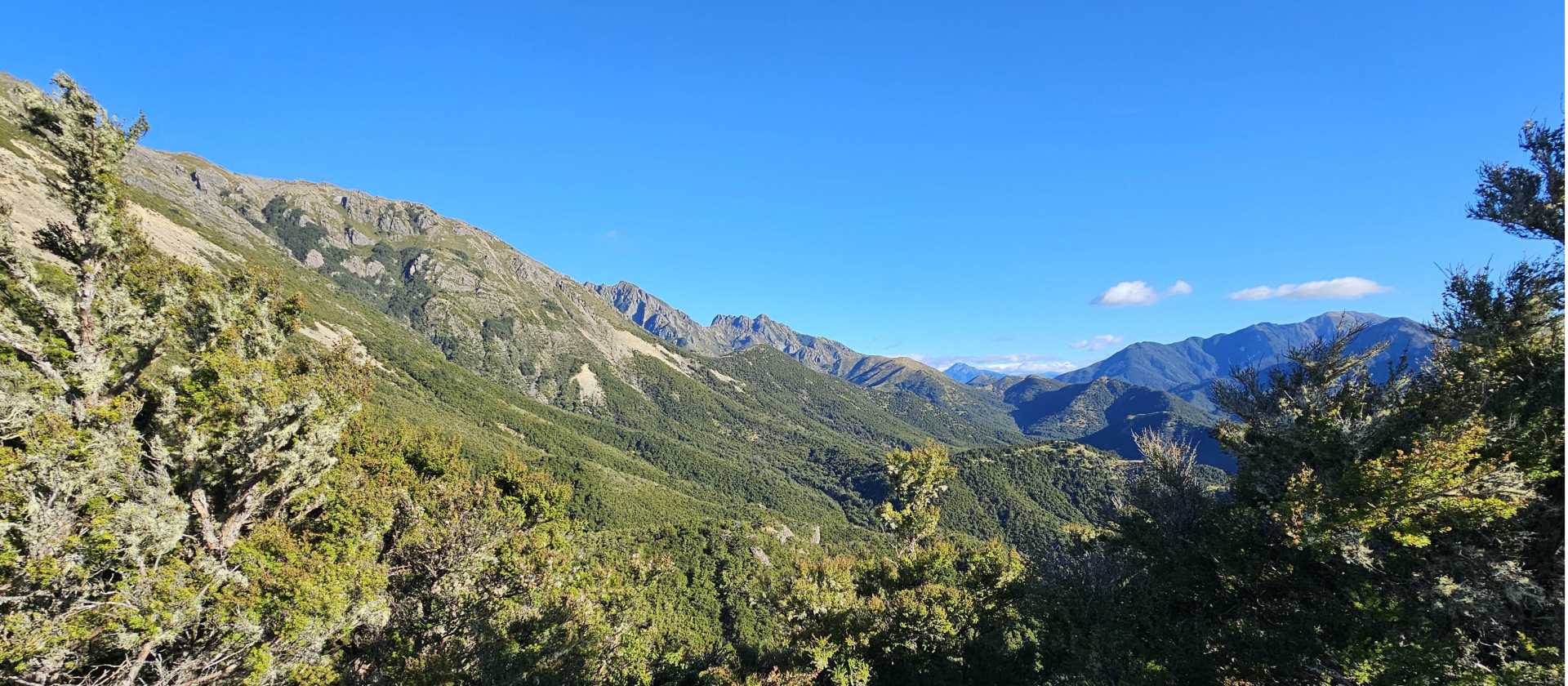 Stunning views across Island Hills nature reserve and mountains