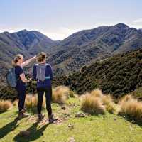 Nothing but pristine wilderness as far as the eye can see | Shaun Monk