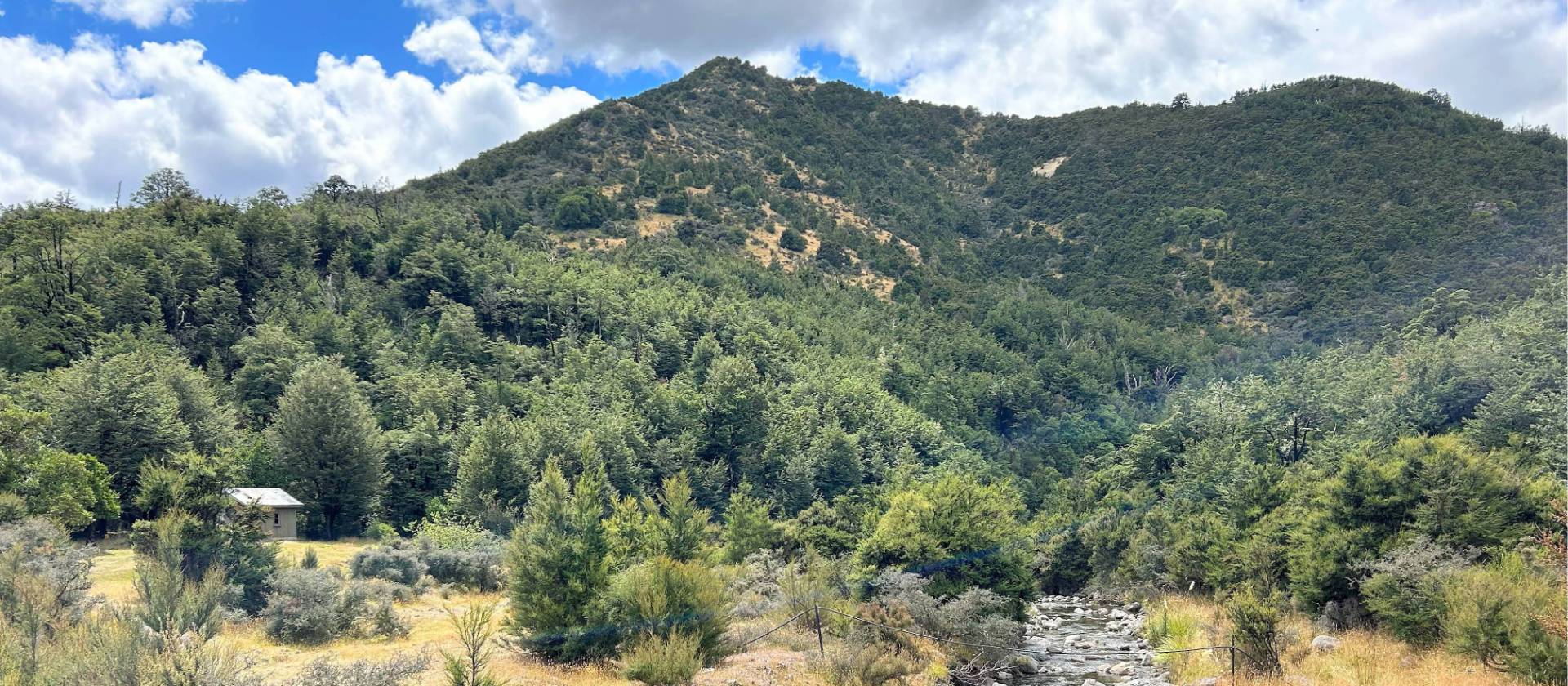 No better place to spend the night then in amongst nature | N Tambolash