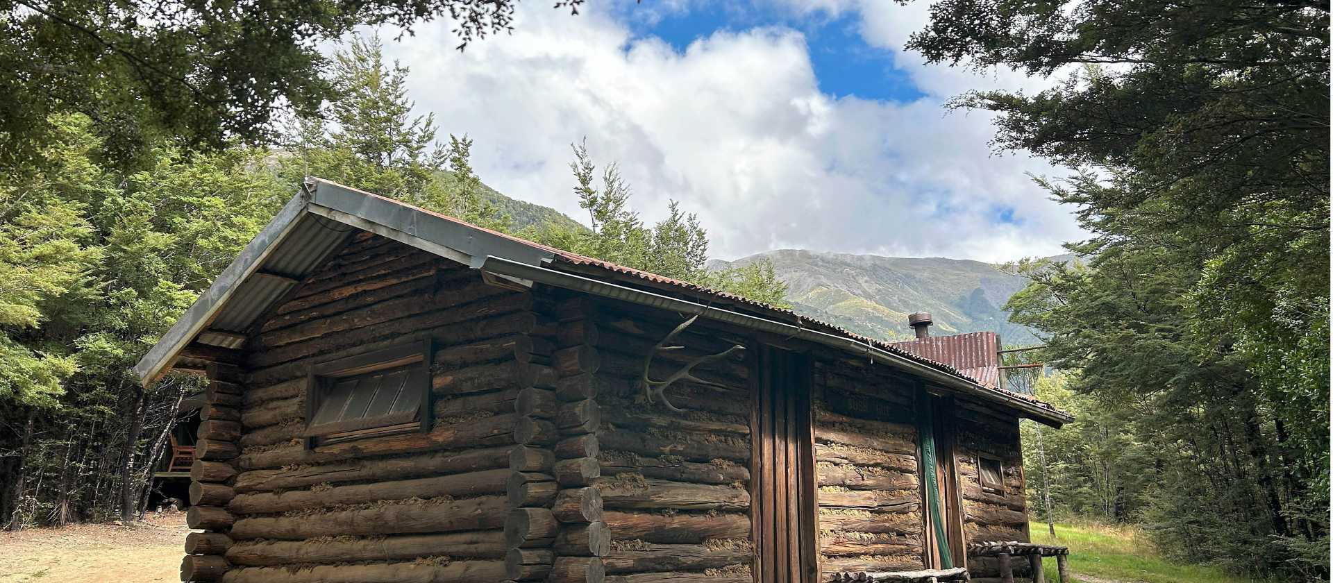 Perfect location for a little cabin in the woods | N Tambolash