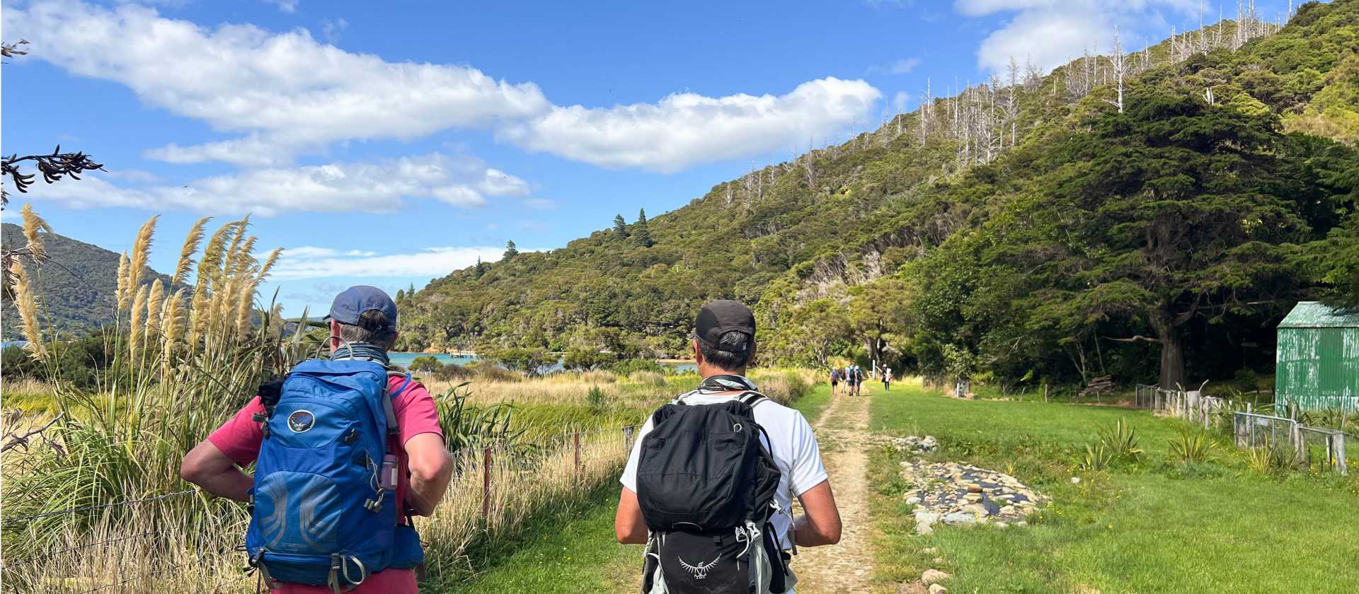 Enjoying the sunshine on the Queen Charlotte Track | Kate Baker
