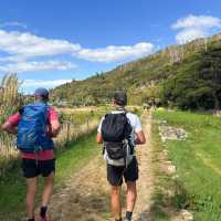 Enjoying the sunshine on the Queen Charlotte Track | Kate Baker
