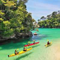 Kayaking in Abel Tasman National Park
