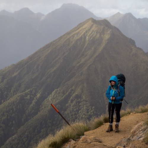 Views for days on the Kepler Track