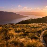 Sunsetting over Southland, New Zealand | Liz Carlson