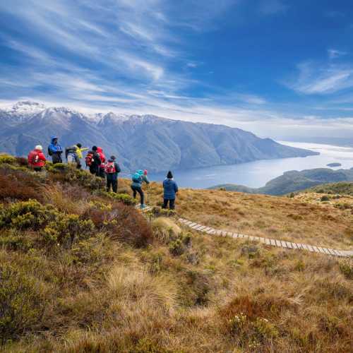 Kepler hiking new zealand