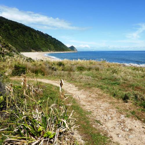 Coastal paths are a delightful contrast to sub-alpine forest sections of the Heaphy Track