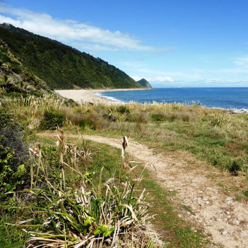 Coastal paths are a delightful contrast to sub-alpine forest sections of the Heaphy Track