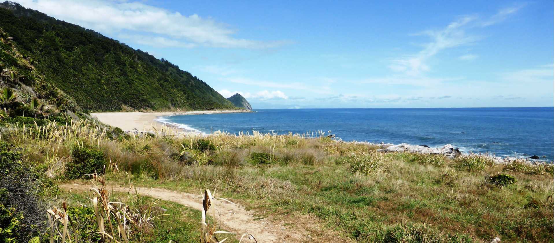 Coastal paths are a delightful contrast to sub-alpine forest sections of the Heaphy Track | Janet Oldham