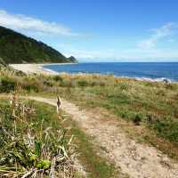 Coastal paths are a delightful contrast to sub-alpine forest sections of the Heaphy Track | Janet Oldham