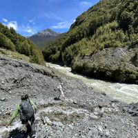 Enjoying the wild of the Lake Rere Loop Track | N Tambolash