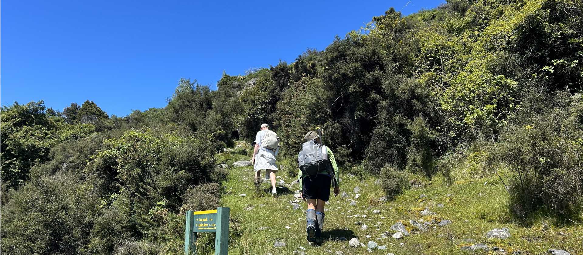 Gentle ascents on off beaten paths in true NZ wilderness. | N Tambolash