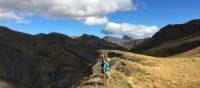 Up on the ridgeline in Ben Lomond Station - dark and light - look left, or right? | Janet Oldham