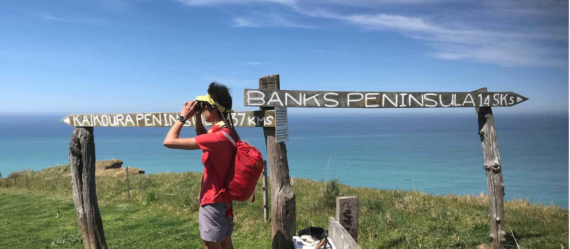 What can you see - is it Kaikoura Peninsula or Banks Peninsula? | Janet Oldham