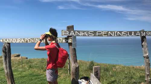 What can you see - is it Kaikoura Peninsula or Banks Peninsula? | Janet Oldham