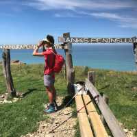 What can you see - is it Kaikoura Peninsula or Banks Peninsula? | Janet Oldham