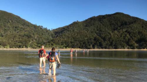 Low tide makes crossing easier at the Awaroa Inlet | Janet Oldham