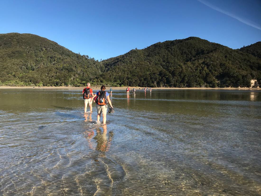 Low tide makes crossing easier at the Awaroa Inlet |  <i>Janet Oldham</i>