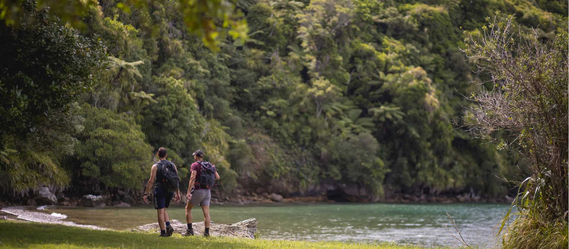 Experiencing lush coastal bush along the Queen Charlotte Track | Miles Holden